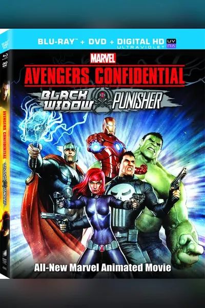 Avengers Confidential: Black Widow & Punisher (2014) poster